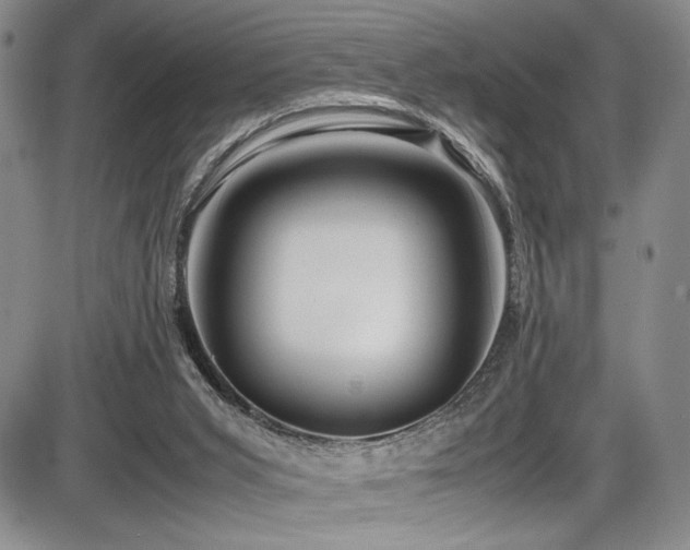 X0000086280015200703291513