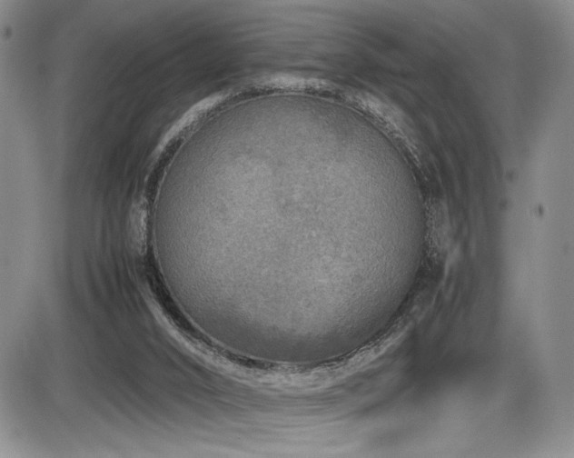 X0000086280016200703291513