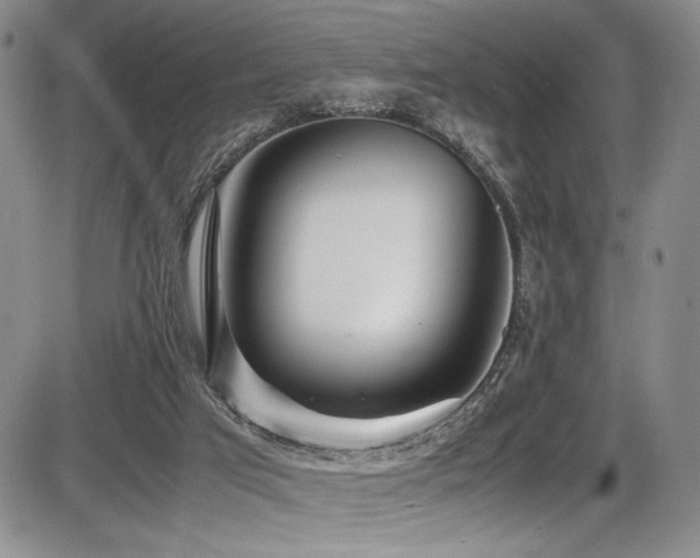 X0000086280017200703291513