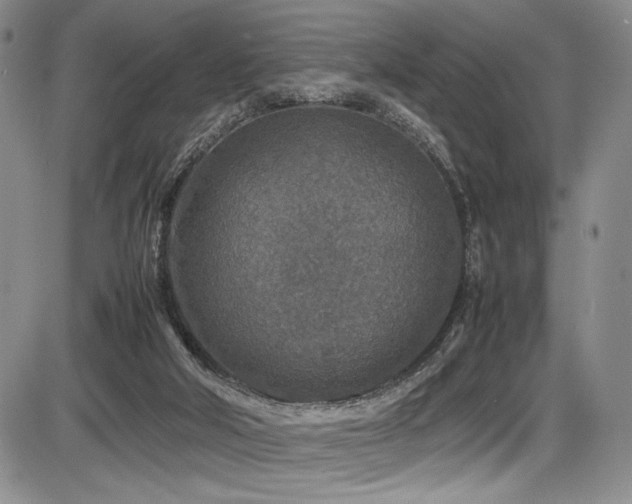 X0000086280018200703291513