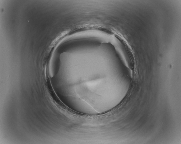 X0000086280019200703291513