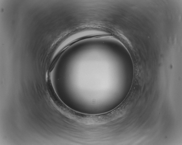 X0000086280020200703291513