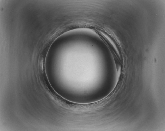 X0000086280021200703291513