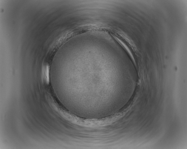 X0000086280022200703291513