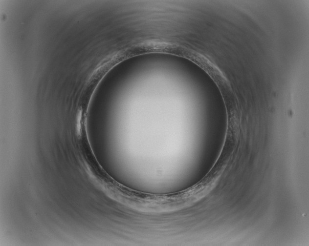 X0000086280024200703291513