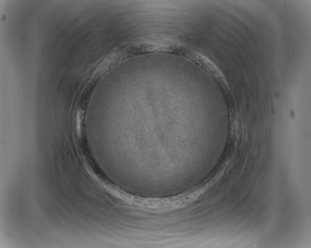 X0000086280026200703291513