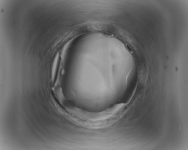 X0000086280027200703291513