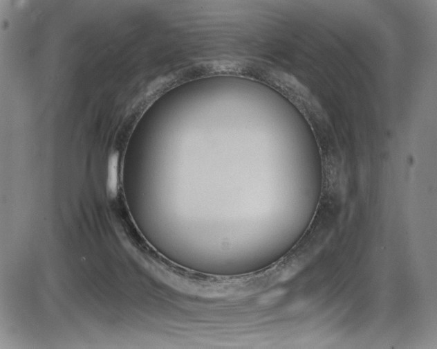 X0000086280028200703291513
