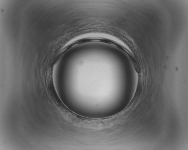 X0000086280029200703291513