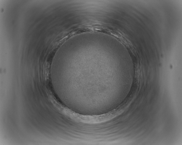 X0000086280030200703291512