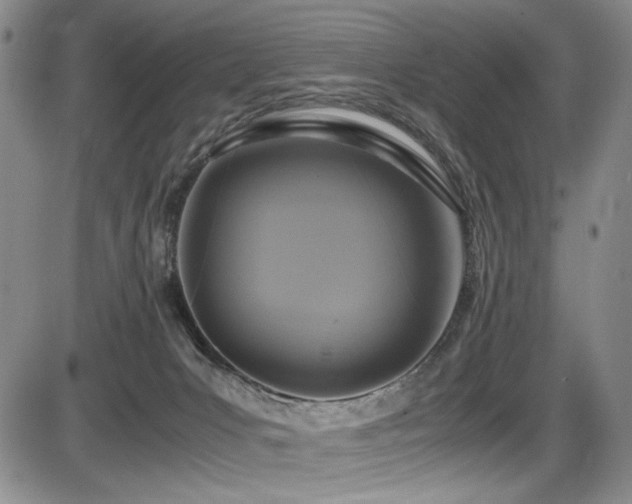X0000086280031200703291512