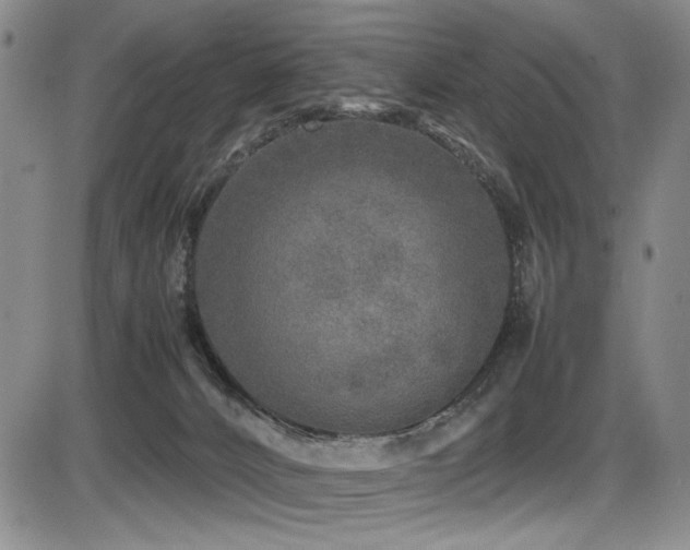 X0000086280032200703291512
