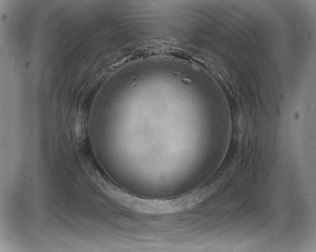 X0000086280034200703291512