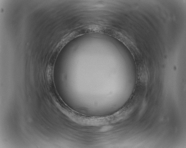X0000086280036200703291512