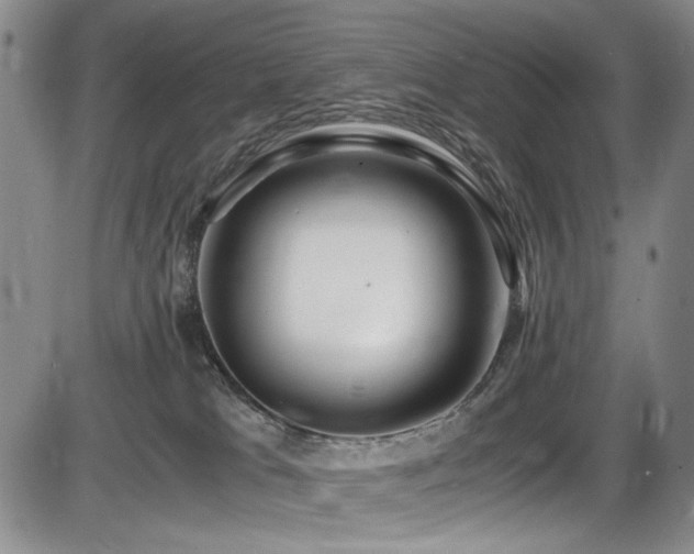 X0000086280037200703291512