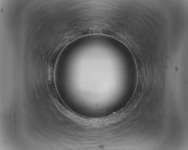 X0000086280038200703291512