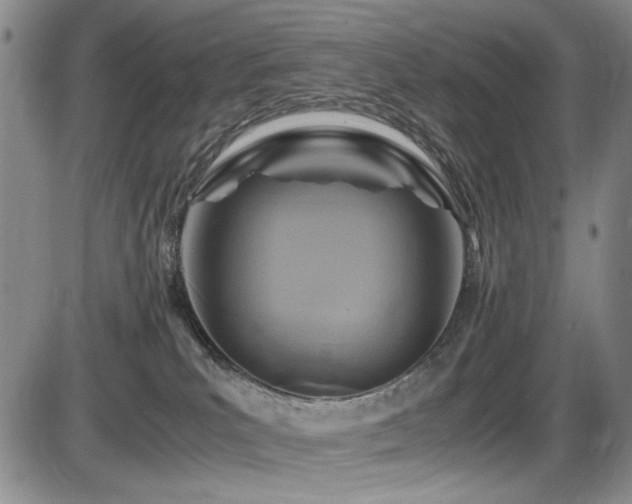 X0000086280039200703291512