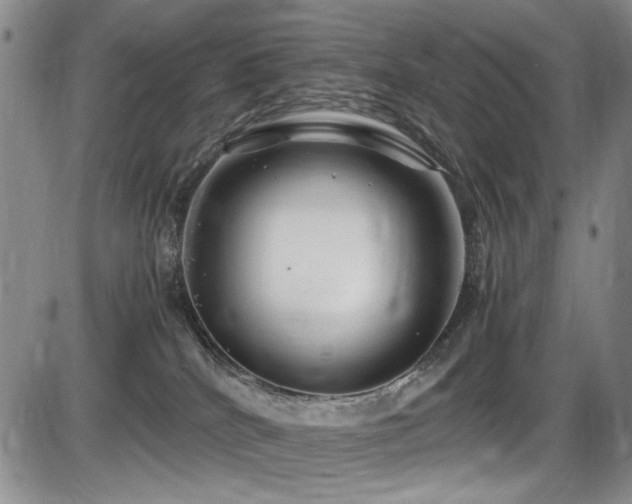 X0000086280040200703291512