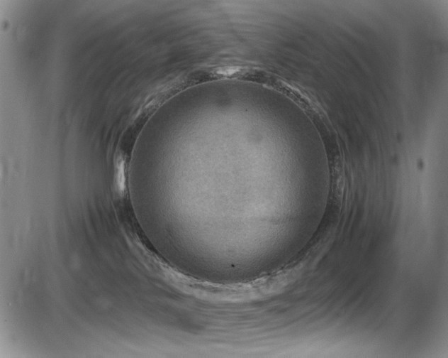 X0000086280042200703291512