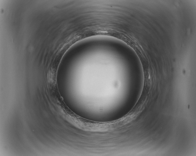 X0000086280044200703291512