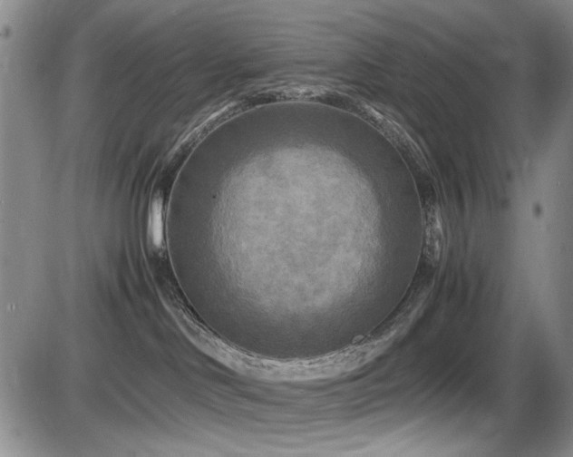 X0000086280046200703291512