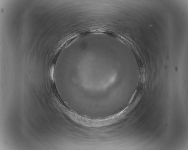 X0000086280047200703291512