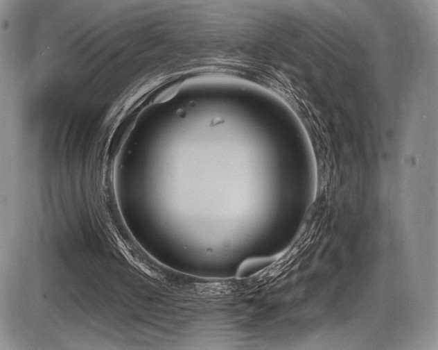 X0000086280050200703291511