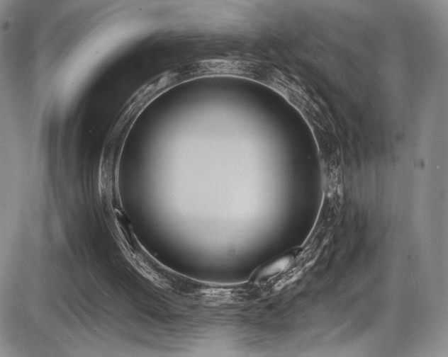 X0000086280052200703291511