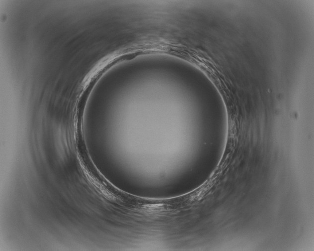 X0000086280054200703291511