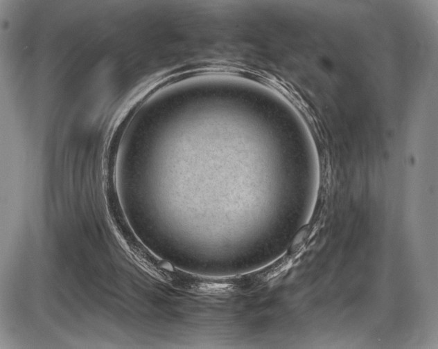X0000086280055200703291511