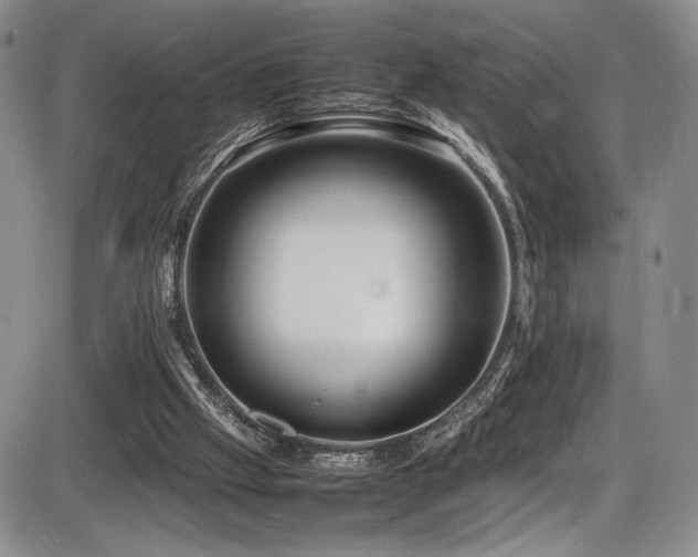 X0000086280057200703291512