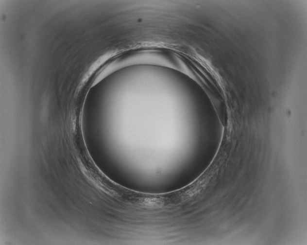 X0000086280060200703291512