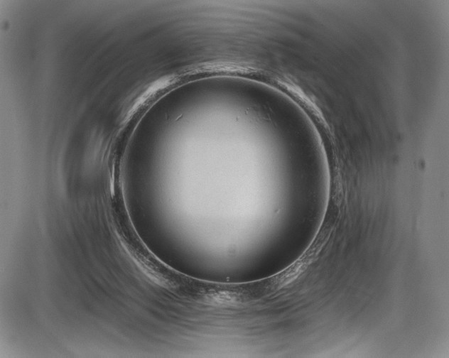X0000086280062200703291512