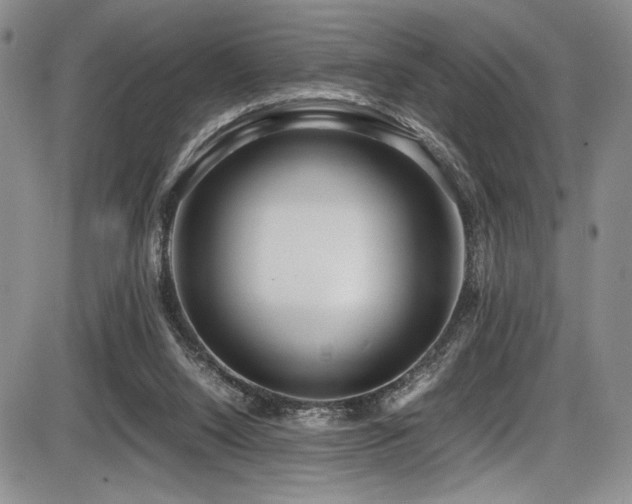X0000086280064200703291512
