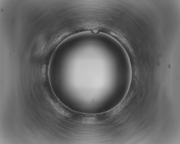 X0000086280066200703291512
