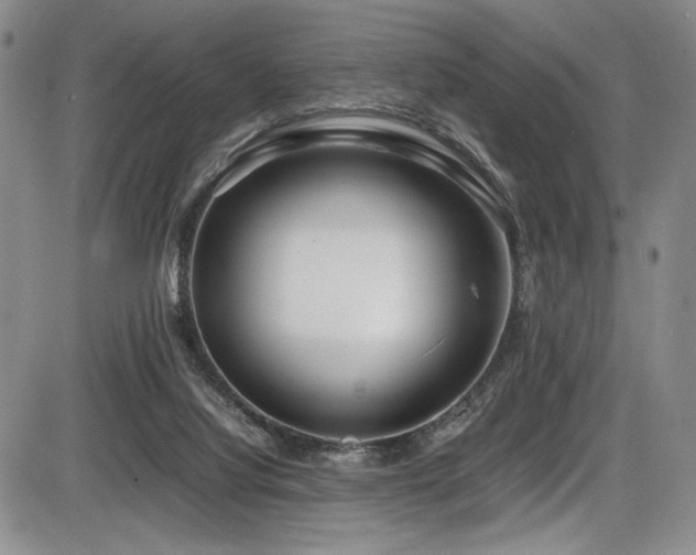 X0000086280068200703291512