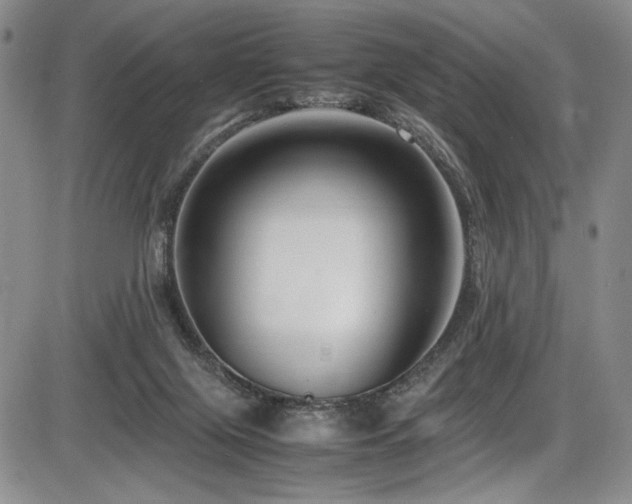 X0000086280071200703291512