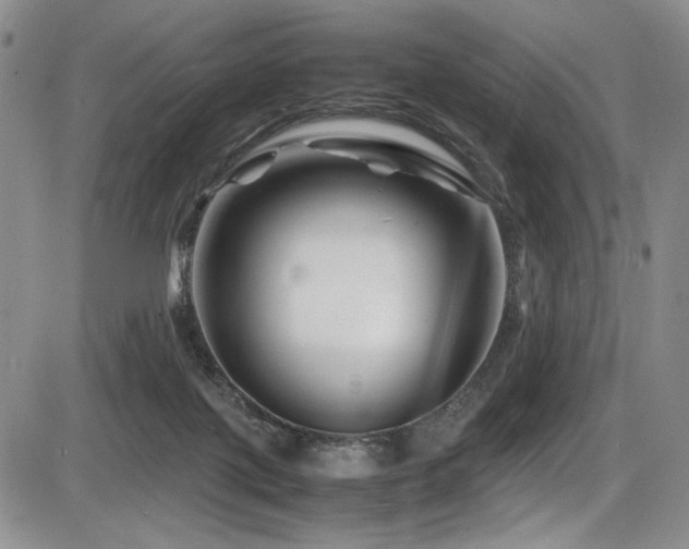 X0000086280075200703291512