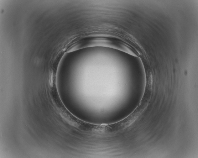 X0000086280076200703291512