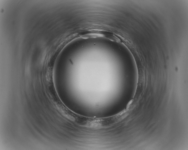 X0000086280078200703291512