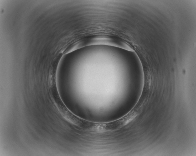 X0000086280080200703291512