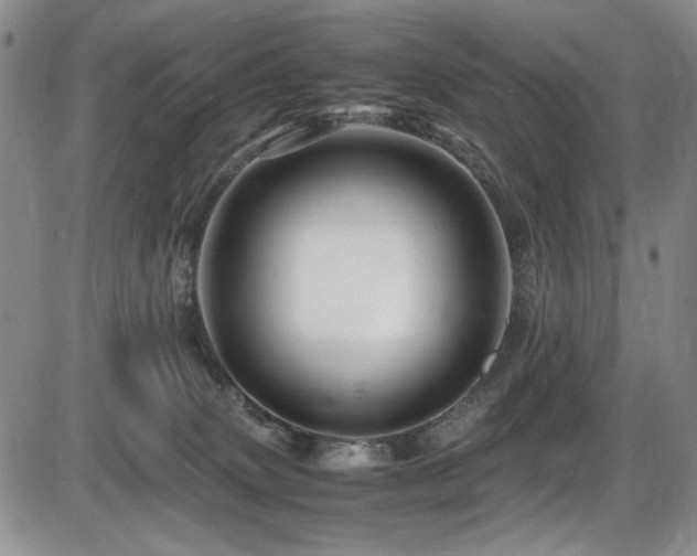 X0000086280083200703291512