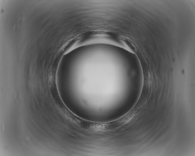 X0000086280084200703291512