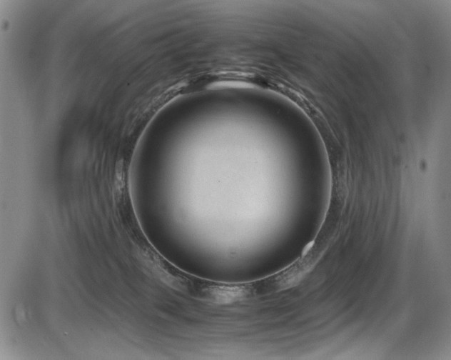 X0000086280085200703291512