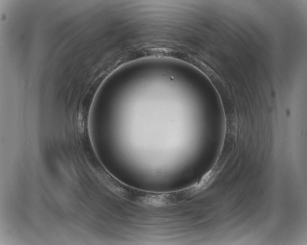 X0000086280086200703291512