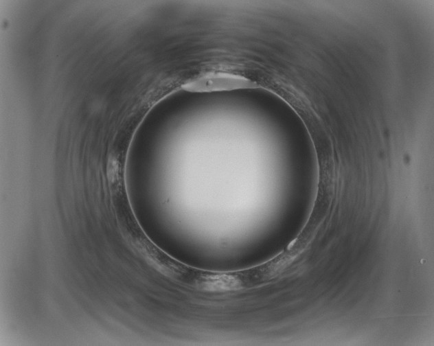 X0000086280087200703291512