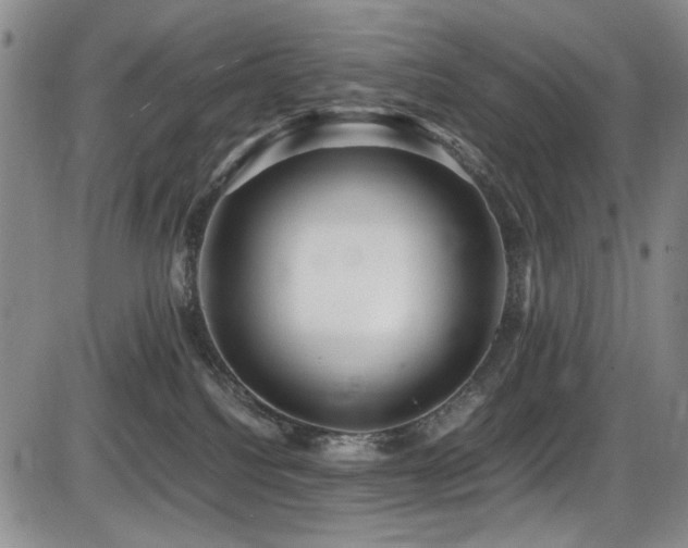 X0000086280088200703291512