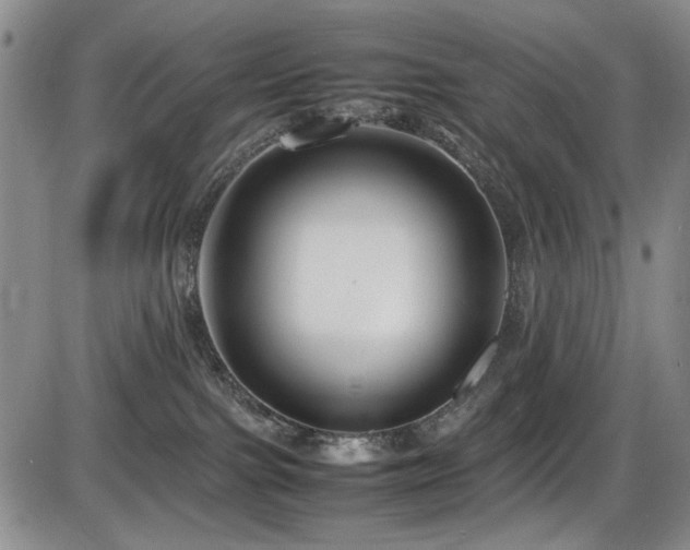 X0000086280091200703291512