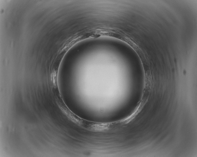 X0000086280094200703291512