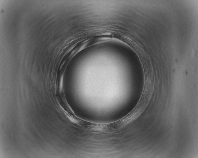 X0000086280096200703291512